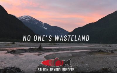 No One’s Wasteland